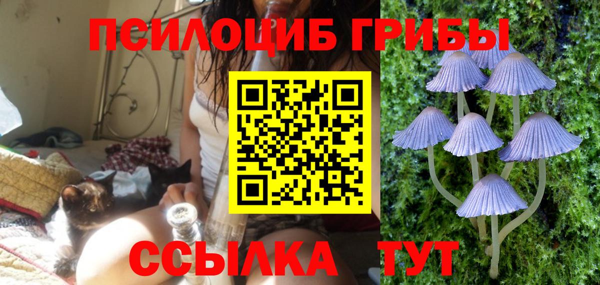 Псилоцибиновые грибы мухоморы  Псилоцибиновые грибы прущие грибы  Тверь  Вход с VPN 