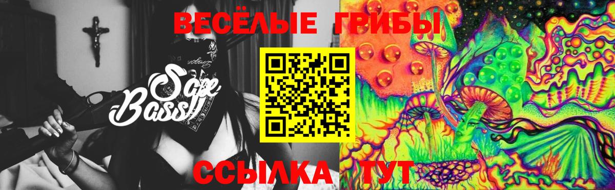 Псилоцибиновые грибы Magic Shrooms Тверь